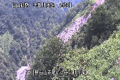 m쉺 ̃J摜