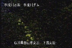  ̃J摜