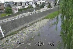 n ̃J摜